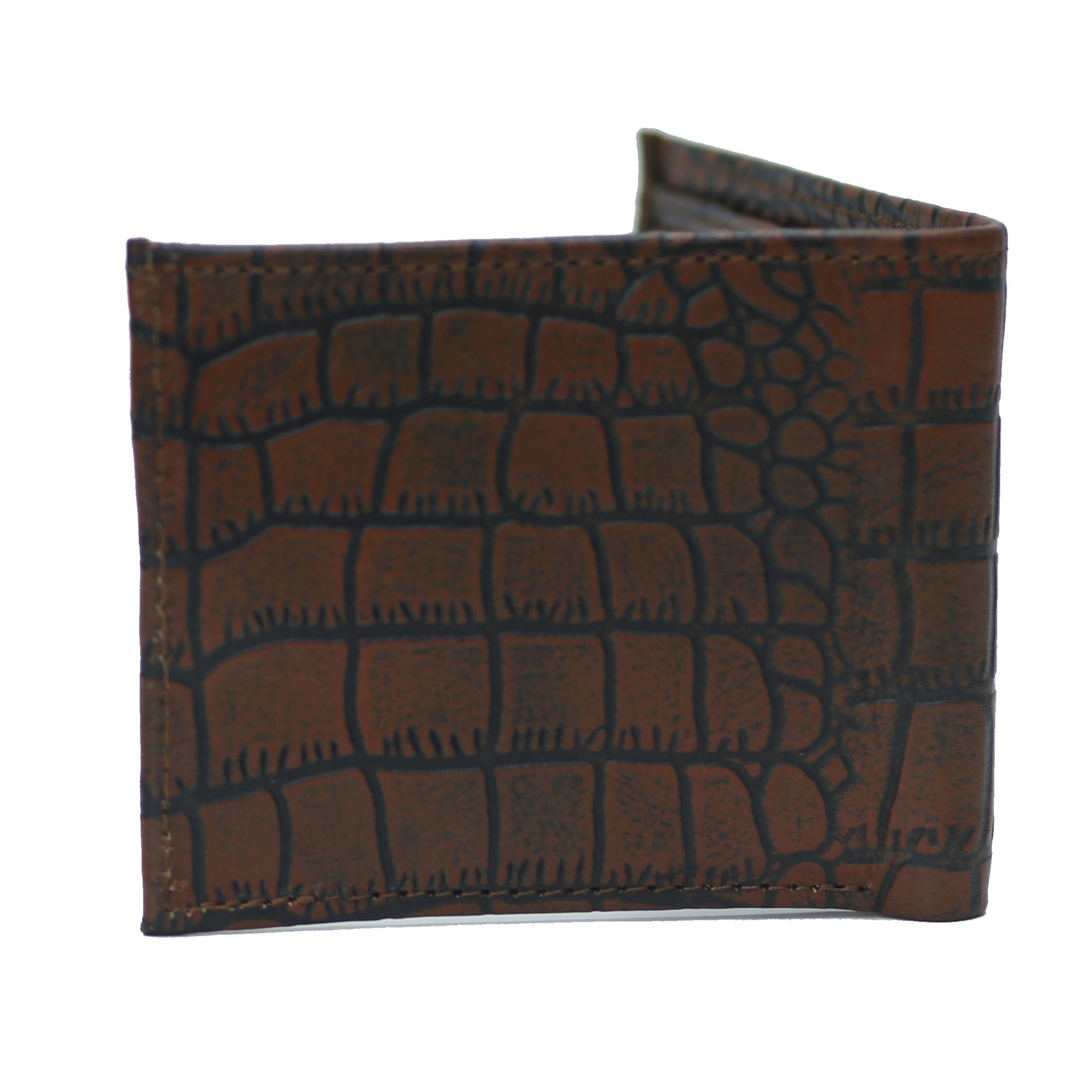 Brown and Black Waxed Crocodile