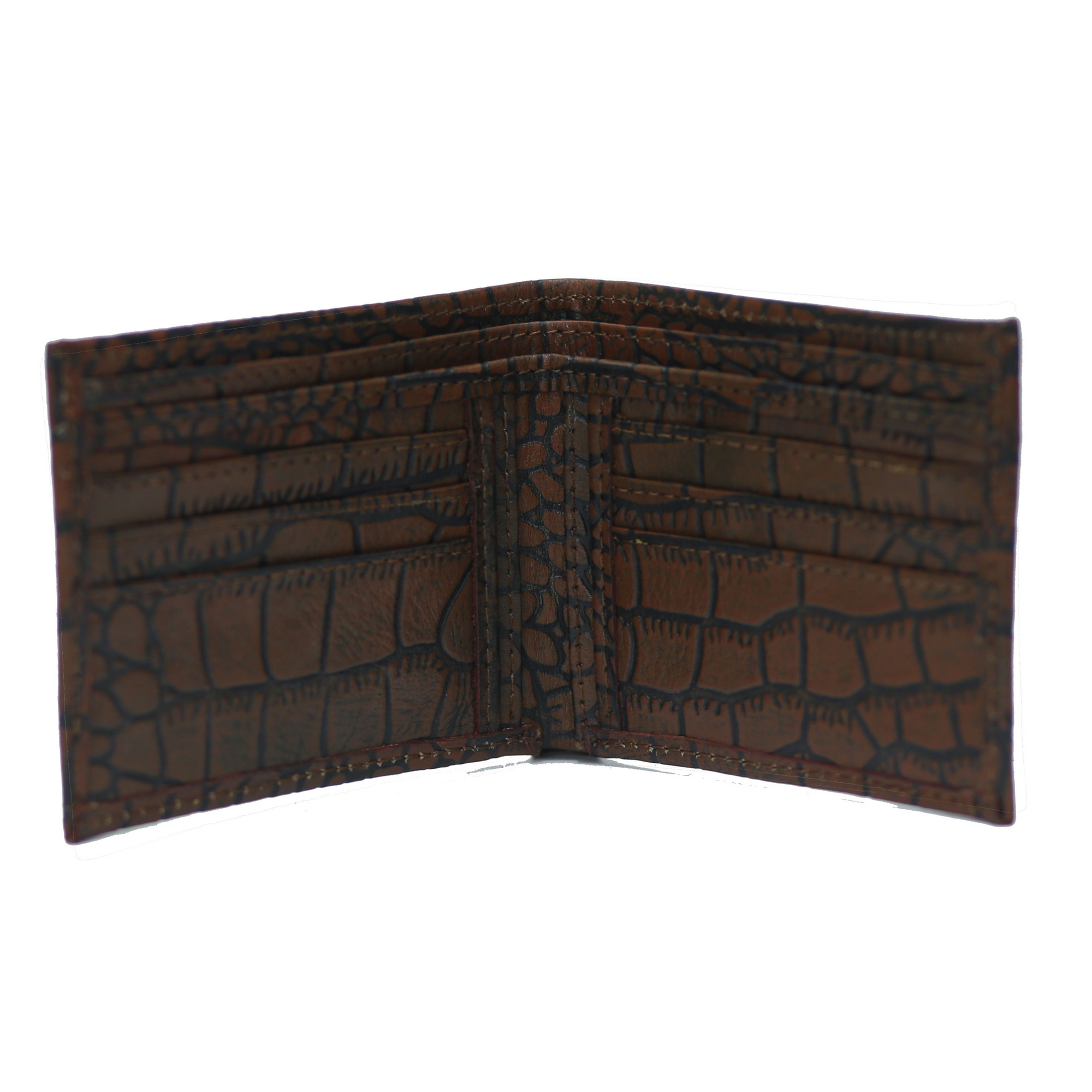 Brown and Black Waxed Crocodile