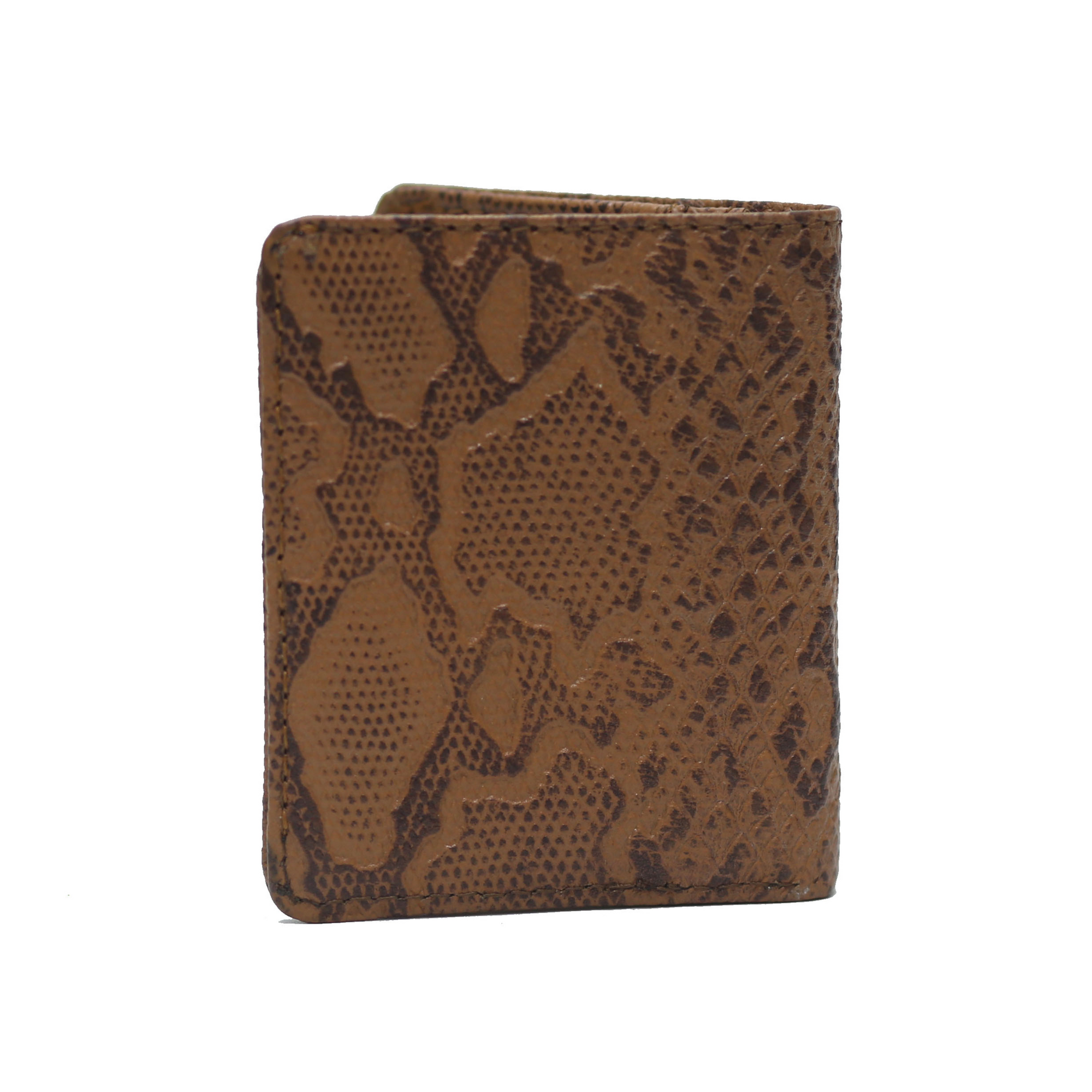 Conic and Black Waxed Python