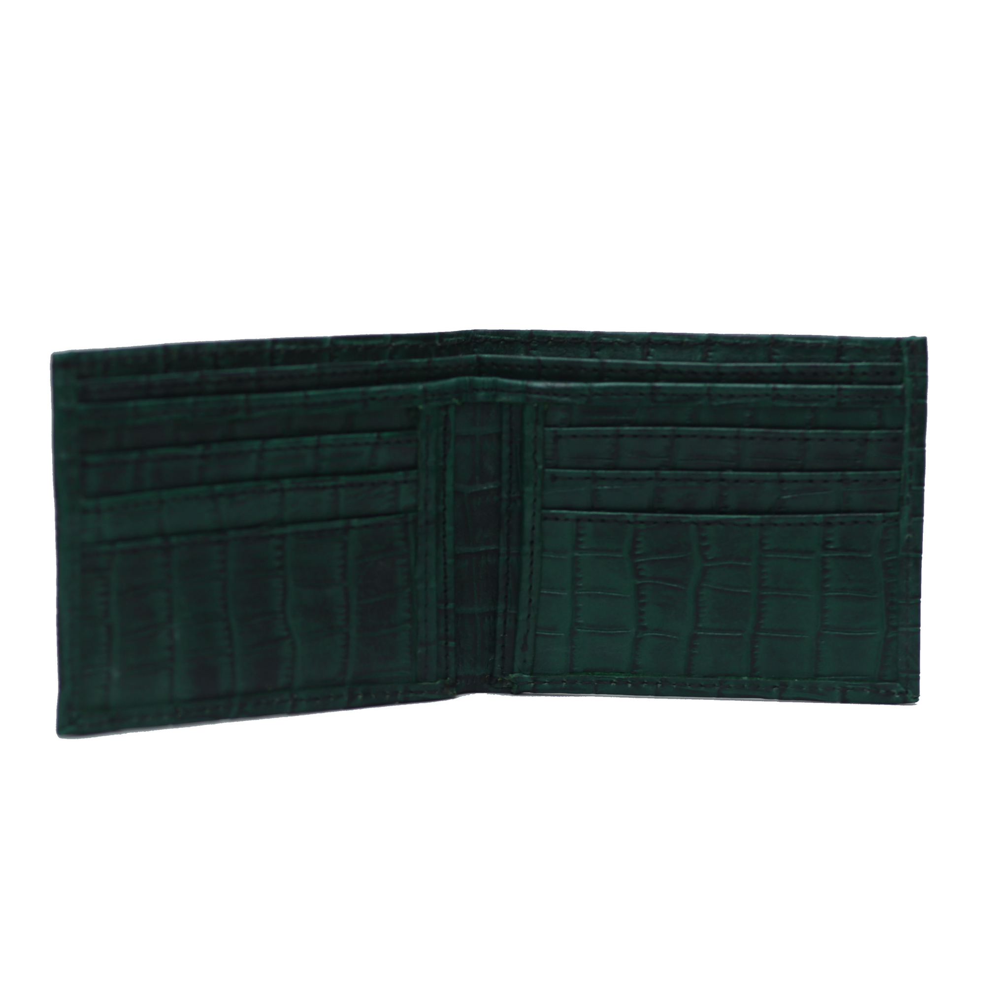 Green and Black Waxed Alligator