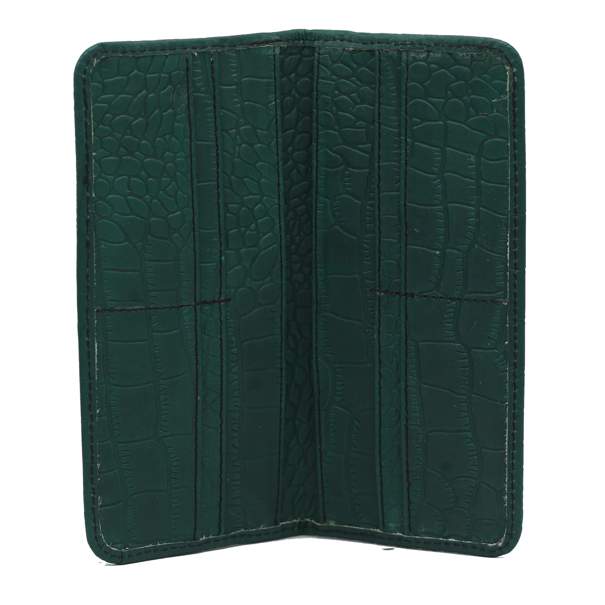 Plain Green Crocodile