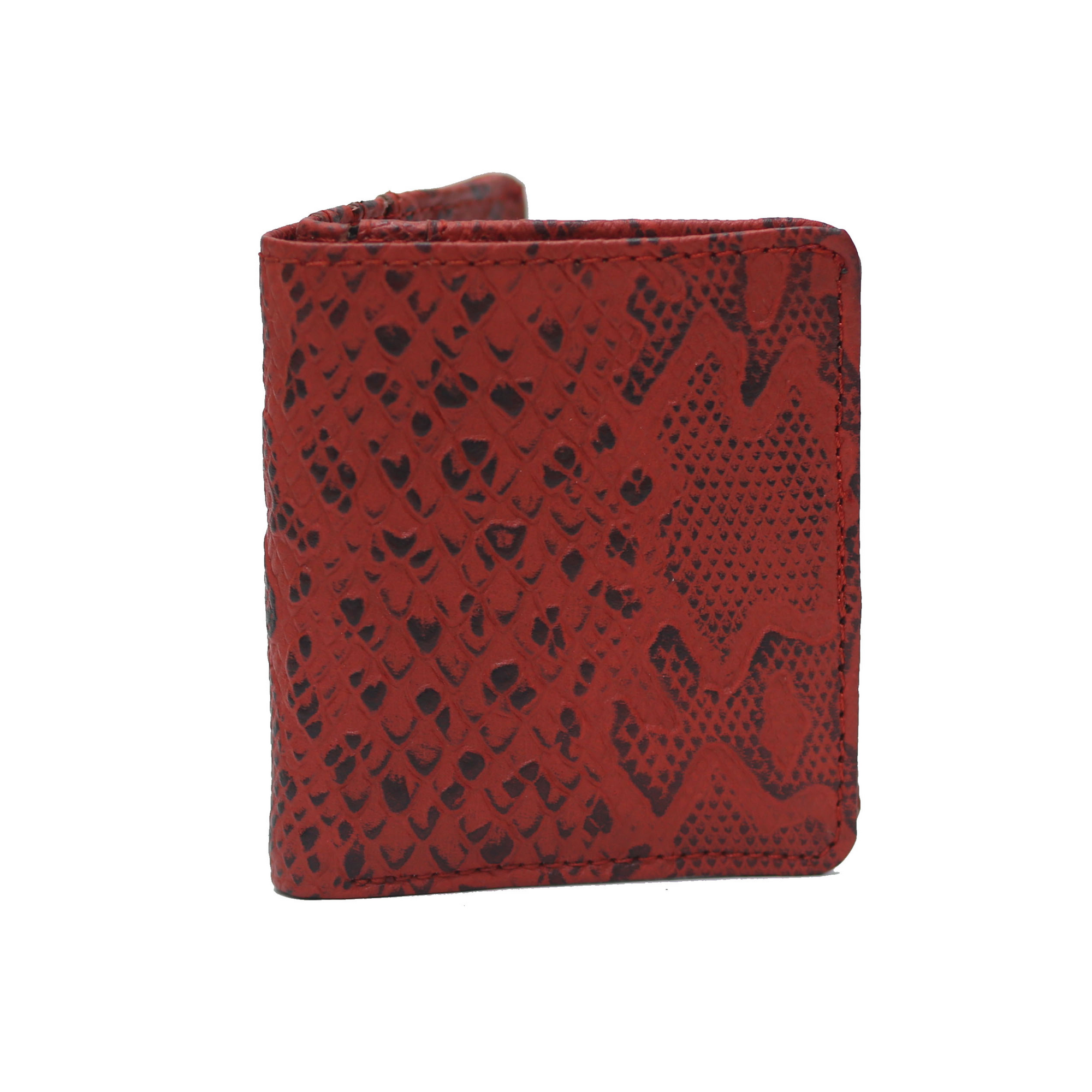 Red and Black Waxed Python