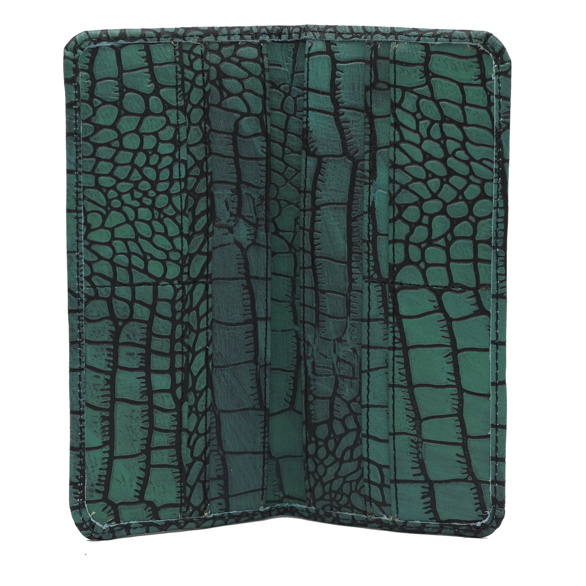 Turquoise and Black Waxed Crocodile